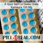 À Quoi Sert La Gelée Orale Kamagra 100 Mg new08
